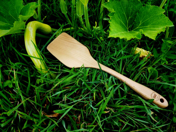 Spatule bois dans l'herbe